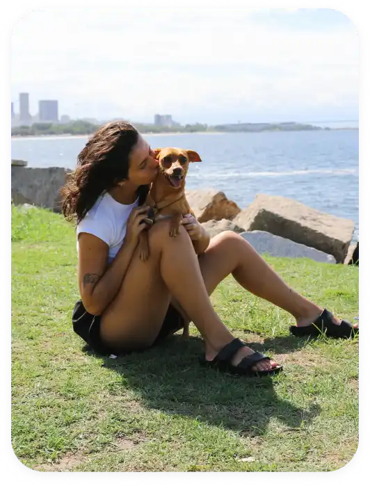 Borrife, espalhe, cuide aplicando o spray no cão