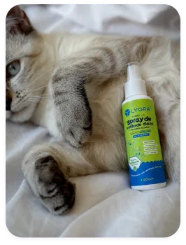 Gato deitado ao lado do frasco LYORA³